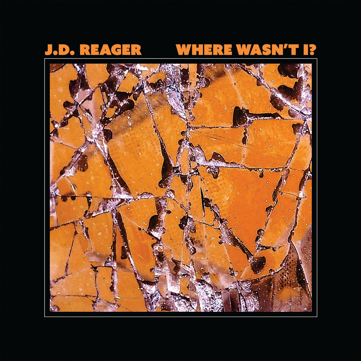 J.D. Reager - Where Wasn't I? LP - Back To The Light Records