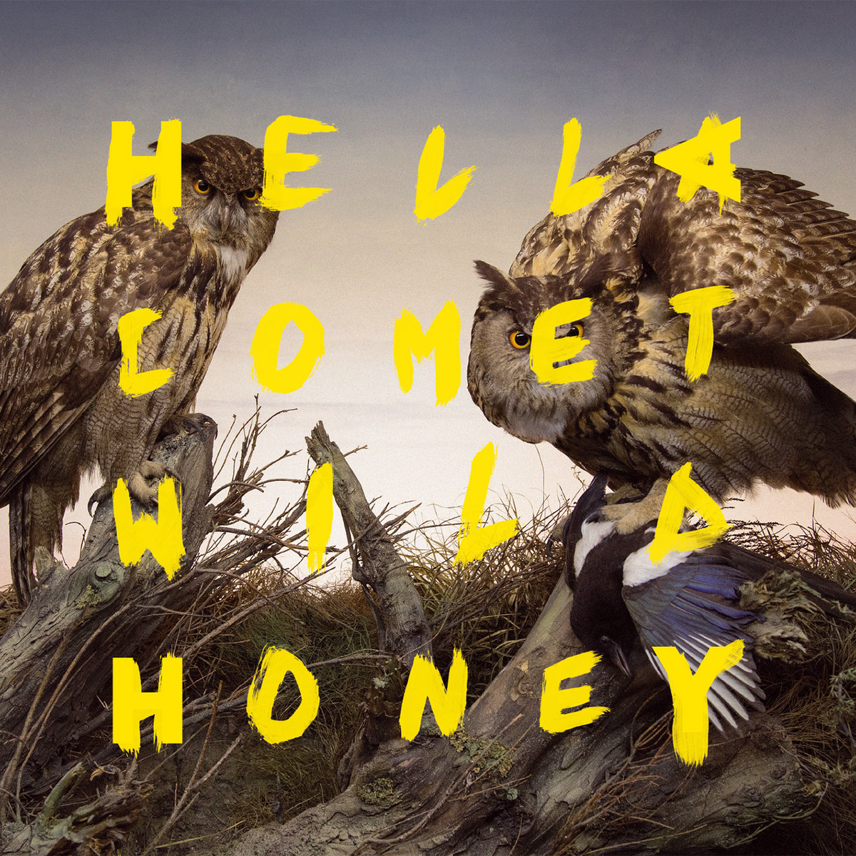 Hella Comet - Wild Honey LP - Noise Appeal Records